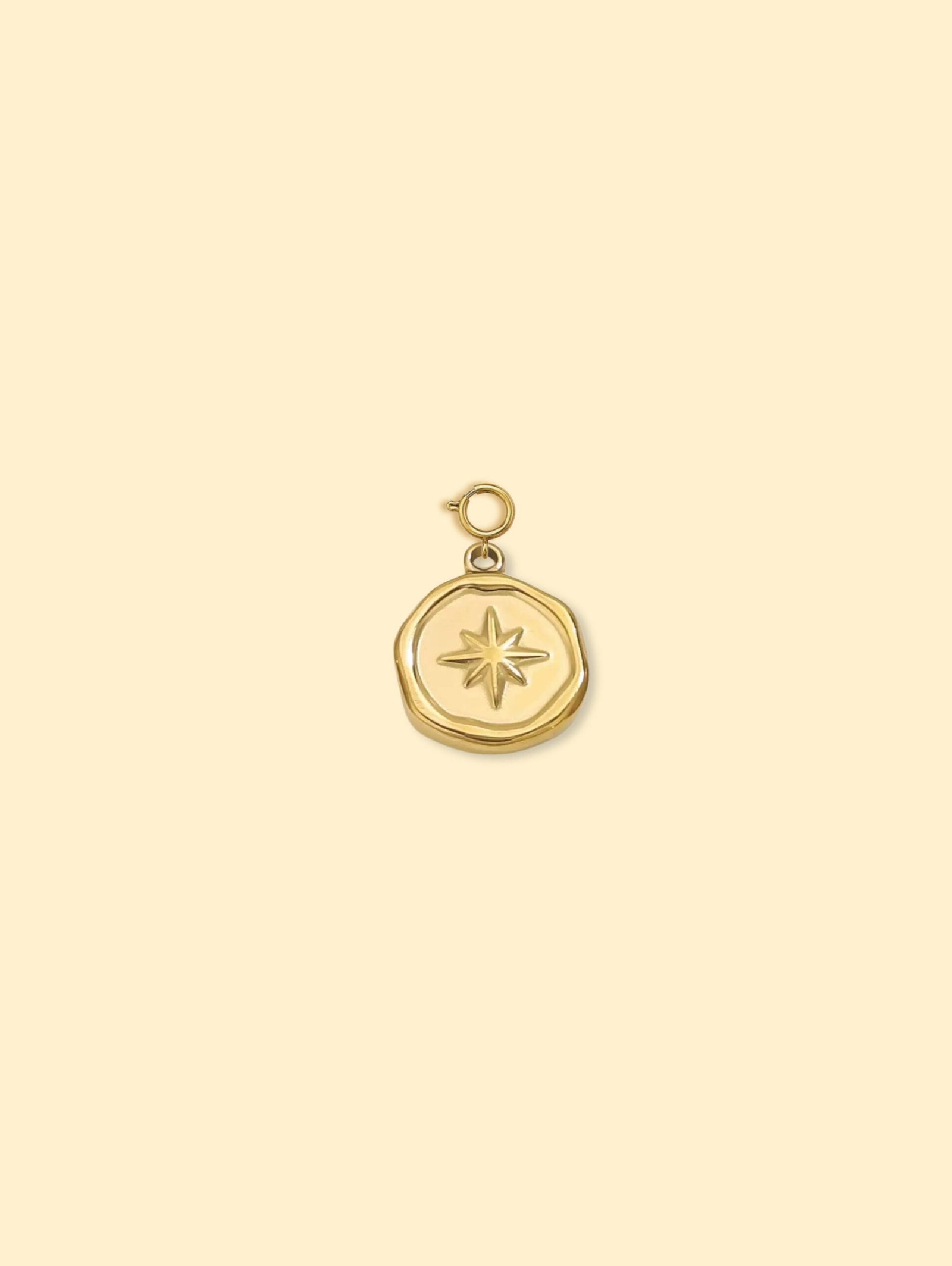 C6F14391-FBD2-422A-B2C7-9775EE43914D-1 18K Gold Plated Compass Coin Charm Pendant Stainless Steel Anti Tarnish - Image 1