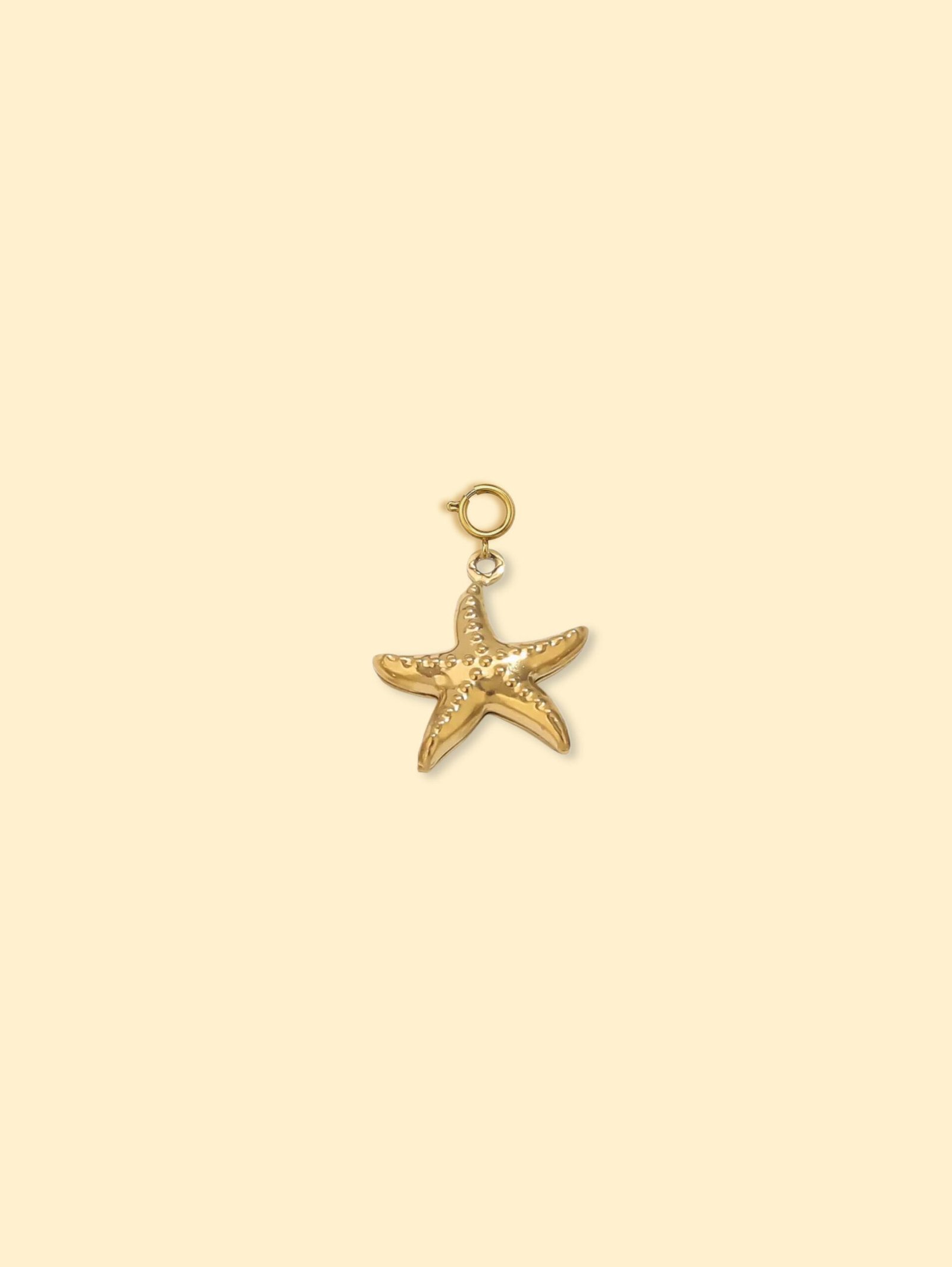 CD570107-3FD6-4156-865E-8B25CFE7D0FB-1 18K Gold Plated Textured Starfish Charm Pendant Stainless Steel Anti Tarnish - Image 1