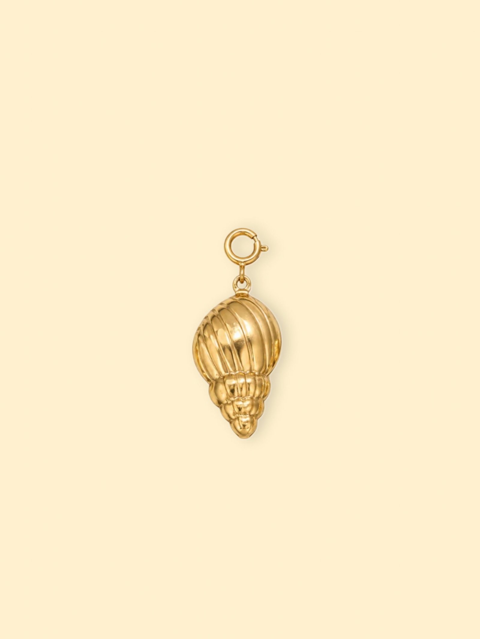 rn-image_picker_lib_temp_61656512-cd60-486f-8e27-b1410764e6ee-1 Ridged Conch Shell Charm (Interchangeable) – 18K Gold Plated Stainless Steel - Image 1