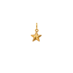Star Charm 18K Gold Plated Stainless Steel - Image 2